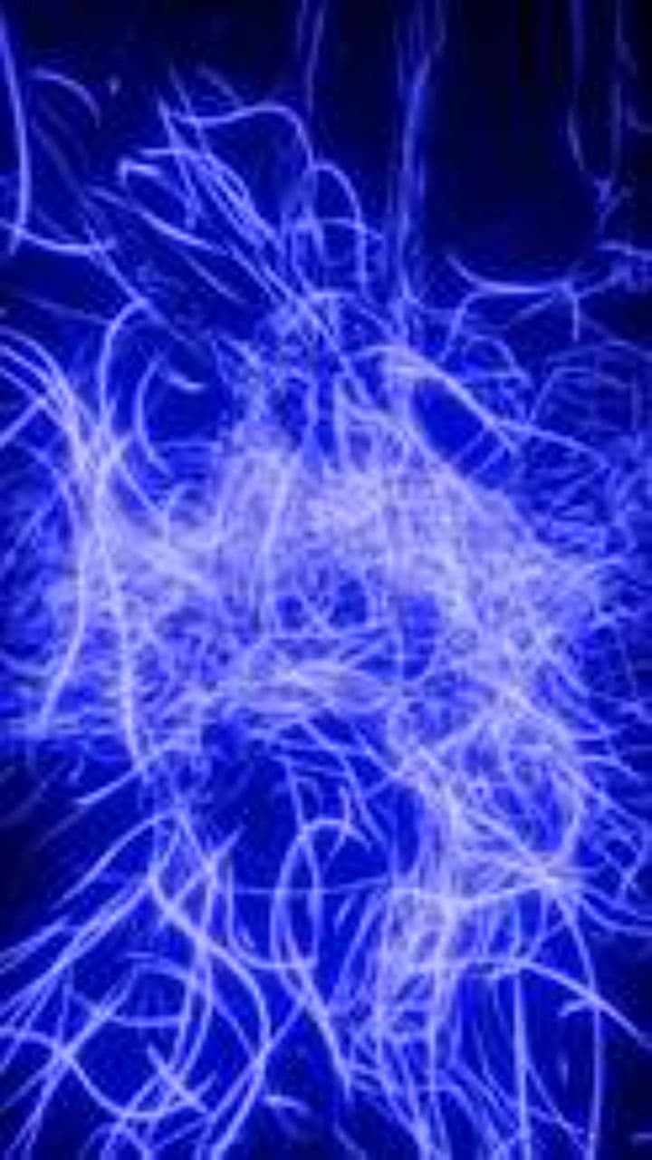 Taming the Wildness of AI