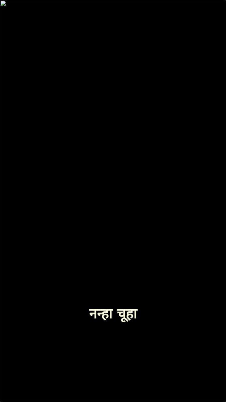 चूहा और हाथी की दोस्ती