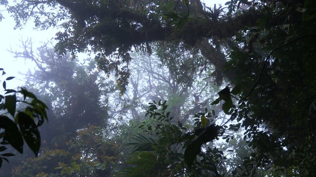 Возвращение боли любви