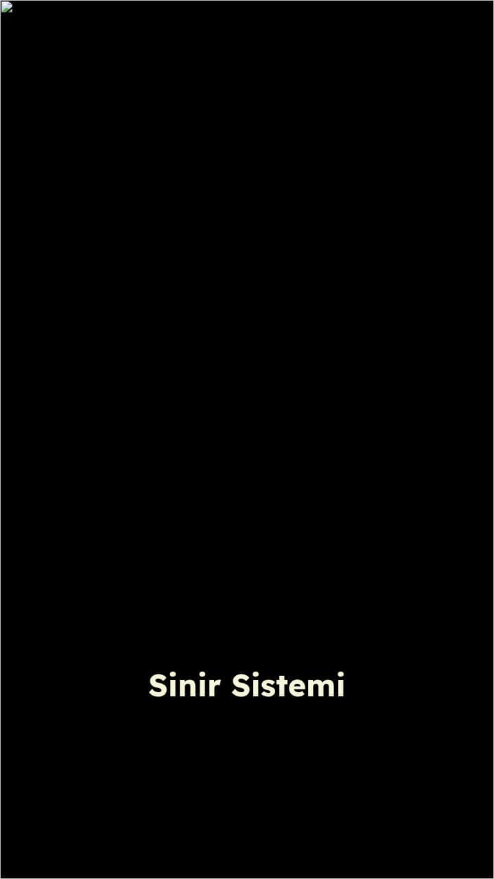 Sinir Sistemi ve Nöronlar