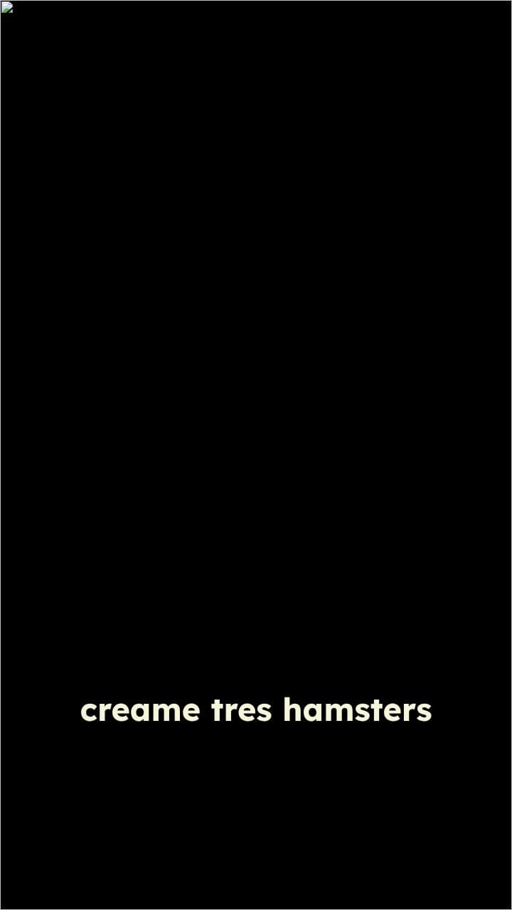 Hamsters y capybaras en armonía