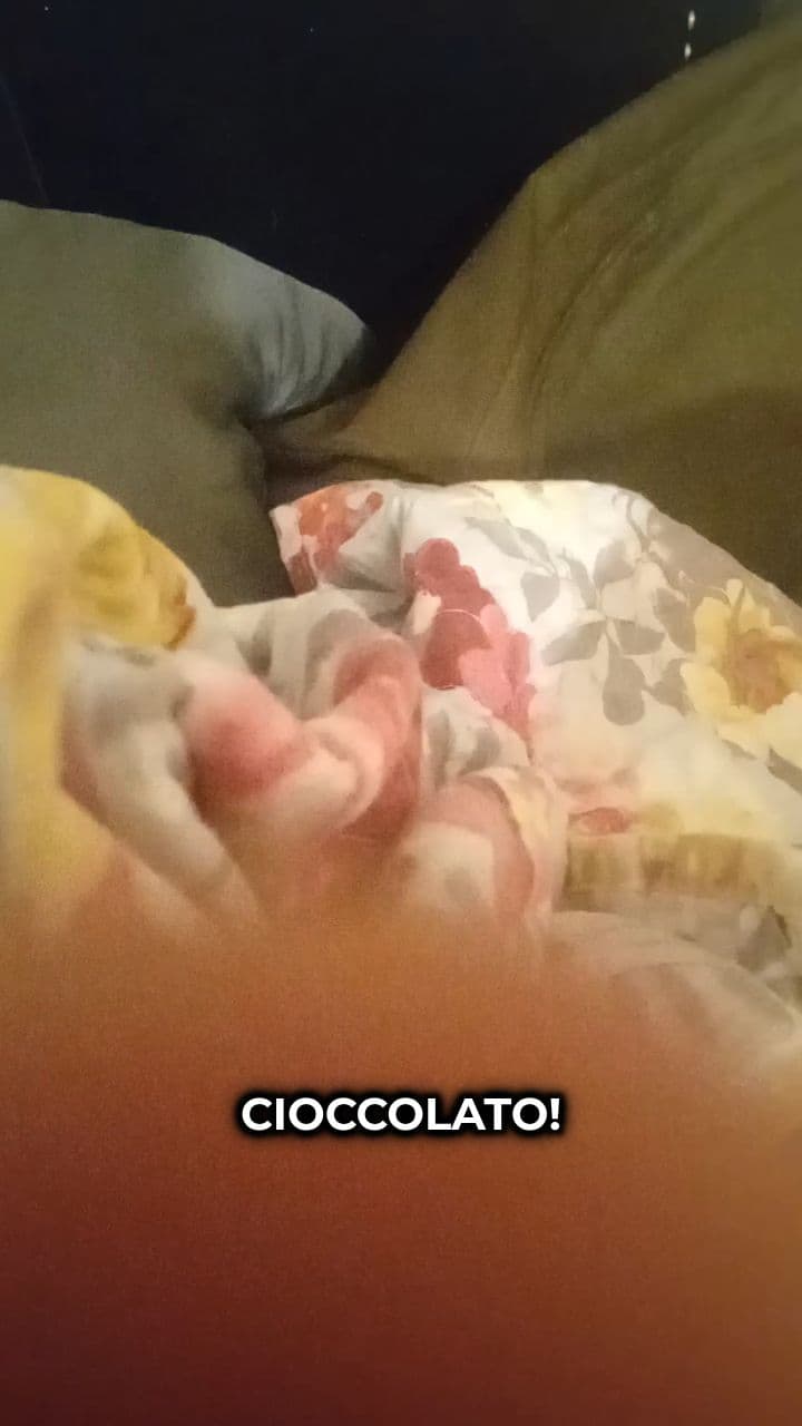 Le Avventure di Quessadila Chocolate: Caos di Cioccolato!