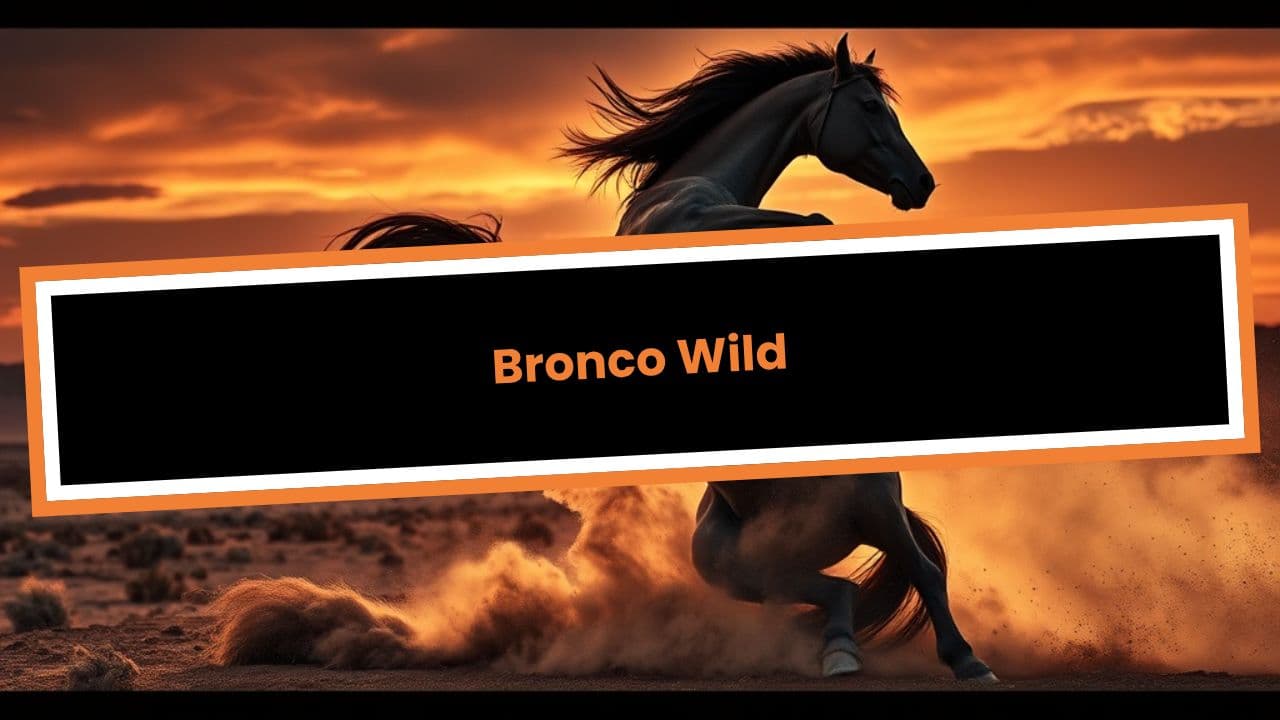 Bronco Wild