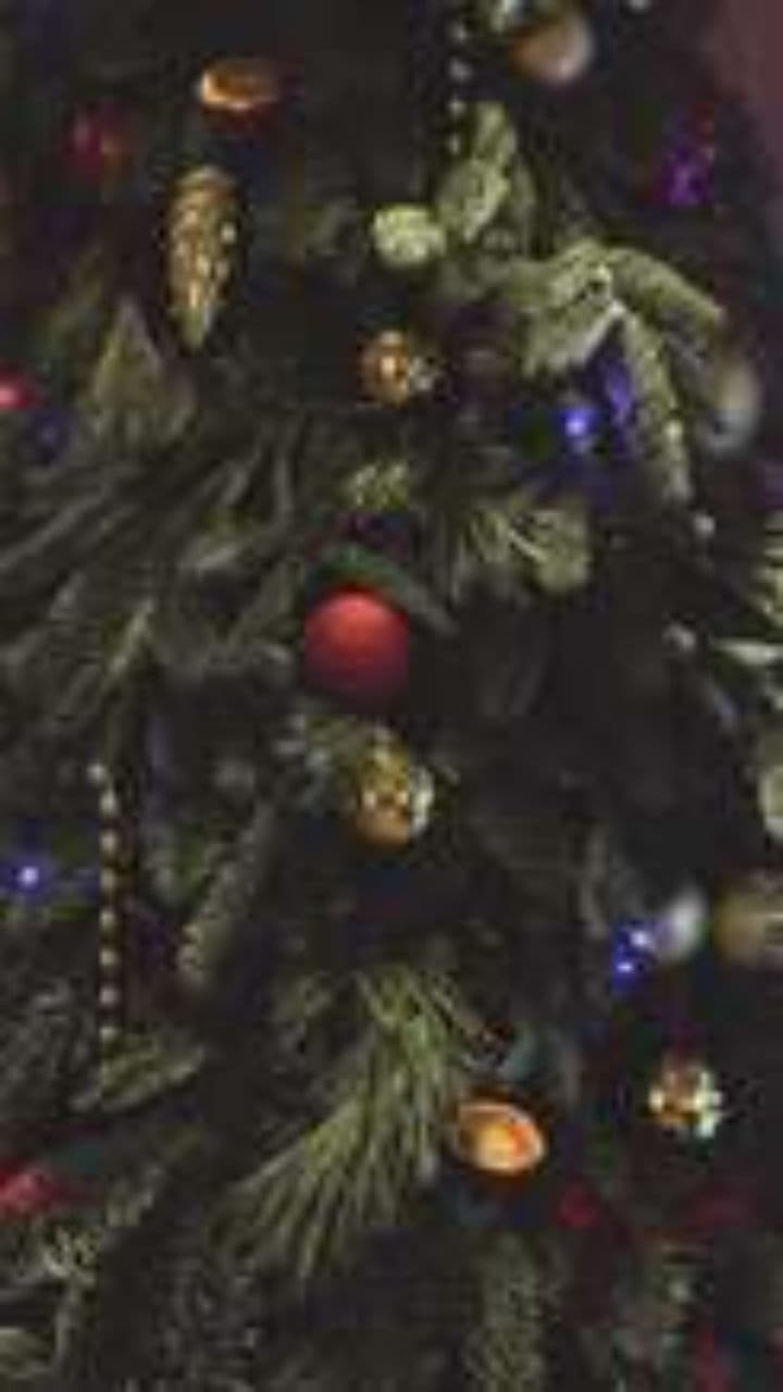 Joy Has Come: Emmanuel