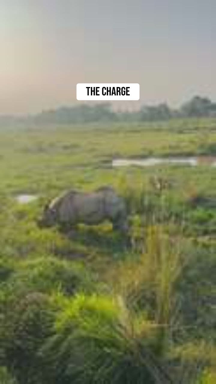 Clash of the Savanna Titans