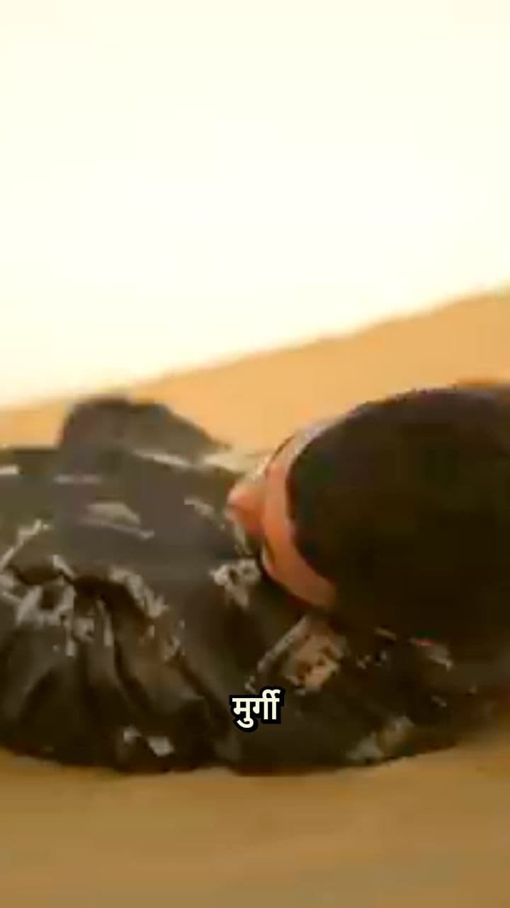 My Chicken is My Brother!