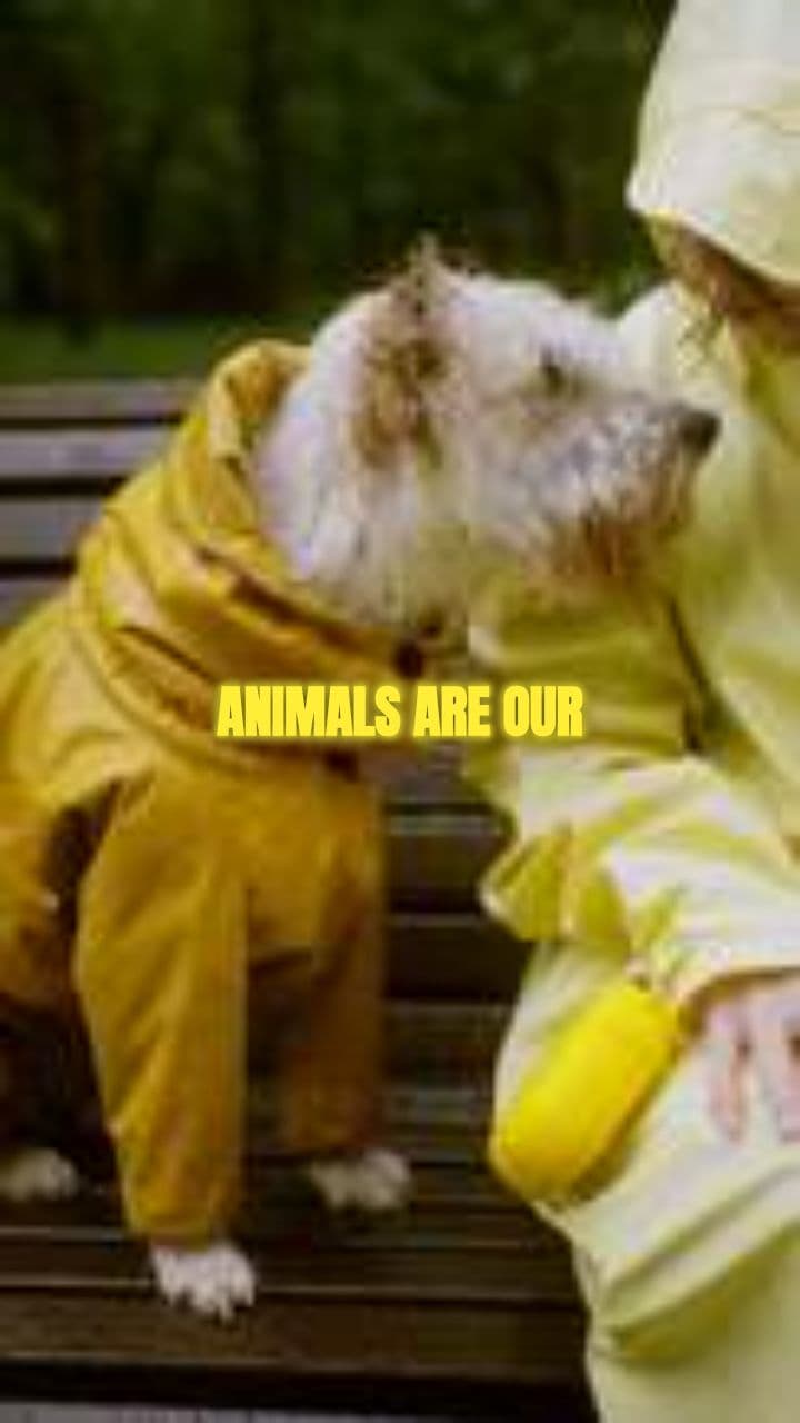 Animals: Our Best Friends