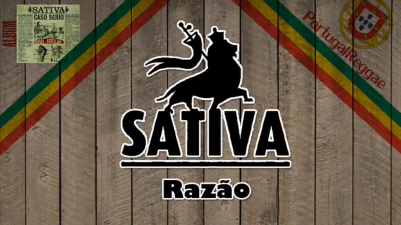 Conexão Silenciosa e Duradoura