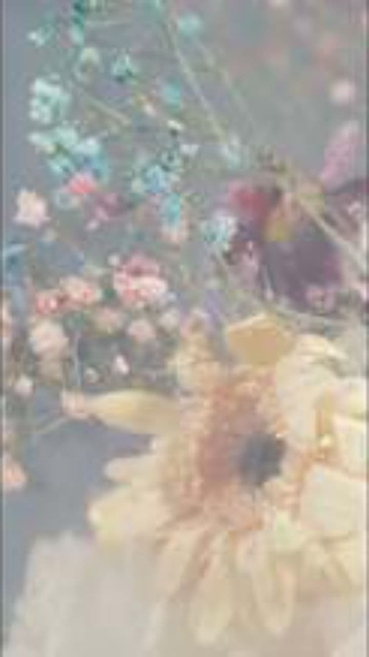 Renascut în Dragoste