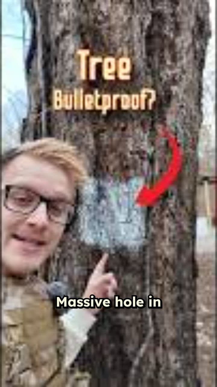Bulletproof Tree Shooting Test Results
