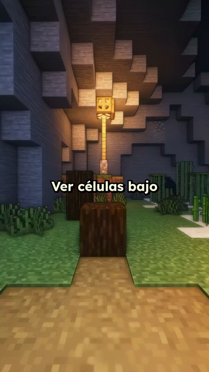 La batalla celular: diagnóstico y tratamiento