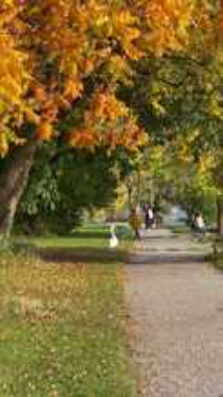 Myślenie, które zmienia wszystko