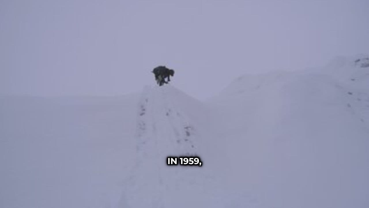 The Dyatlov Pass Mystery