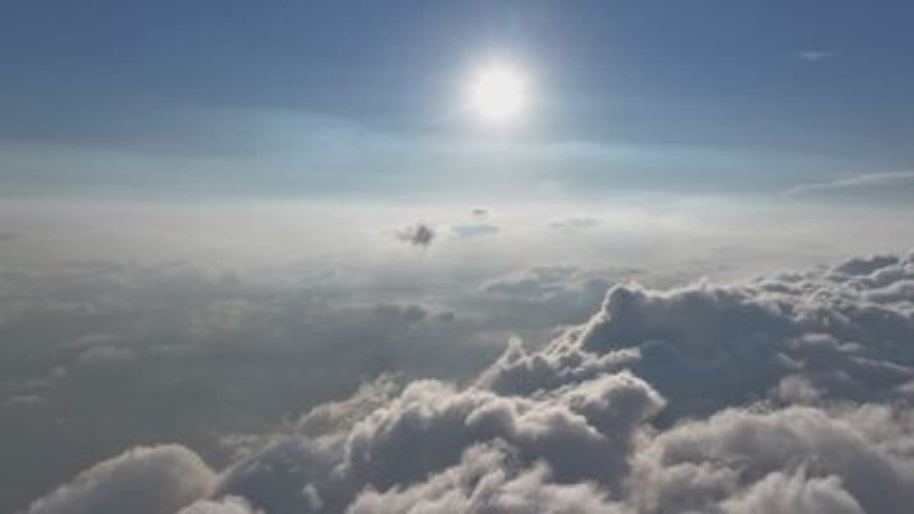 Sonhos de Sol e Liberdade