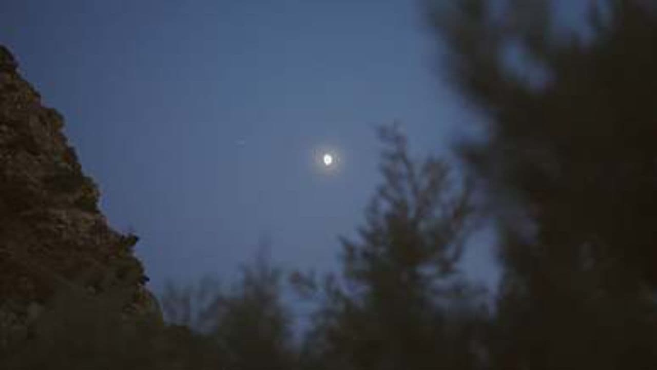 Near the Cross in Our Weeping