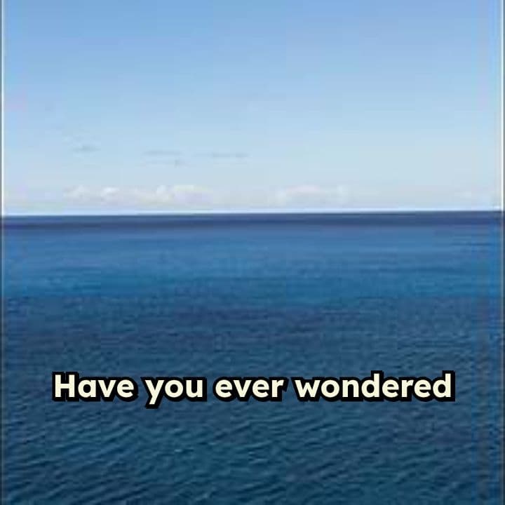 Creation's Call to Praise