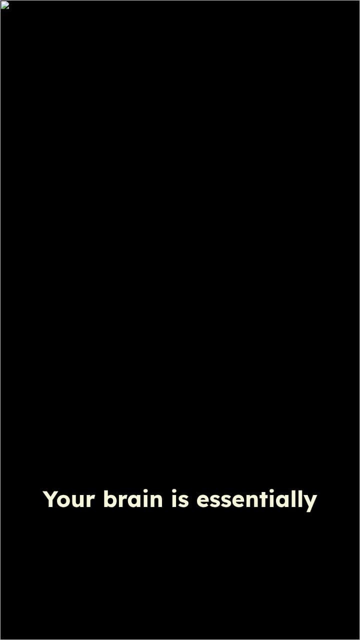 The Brain's Illusion of Reality