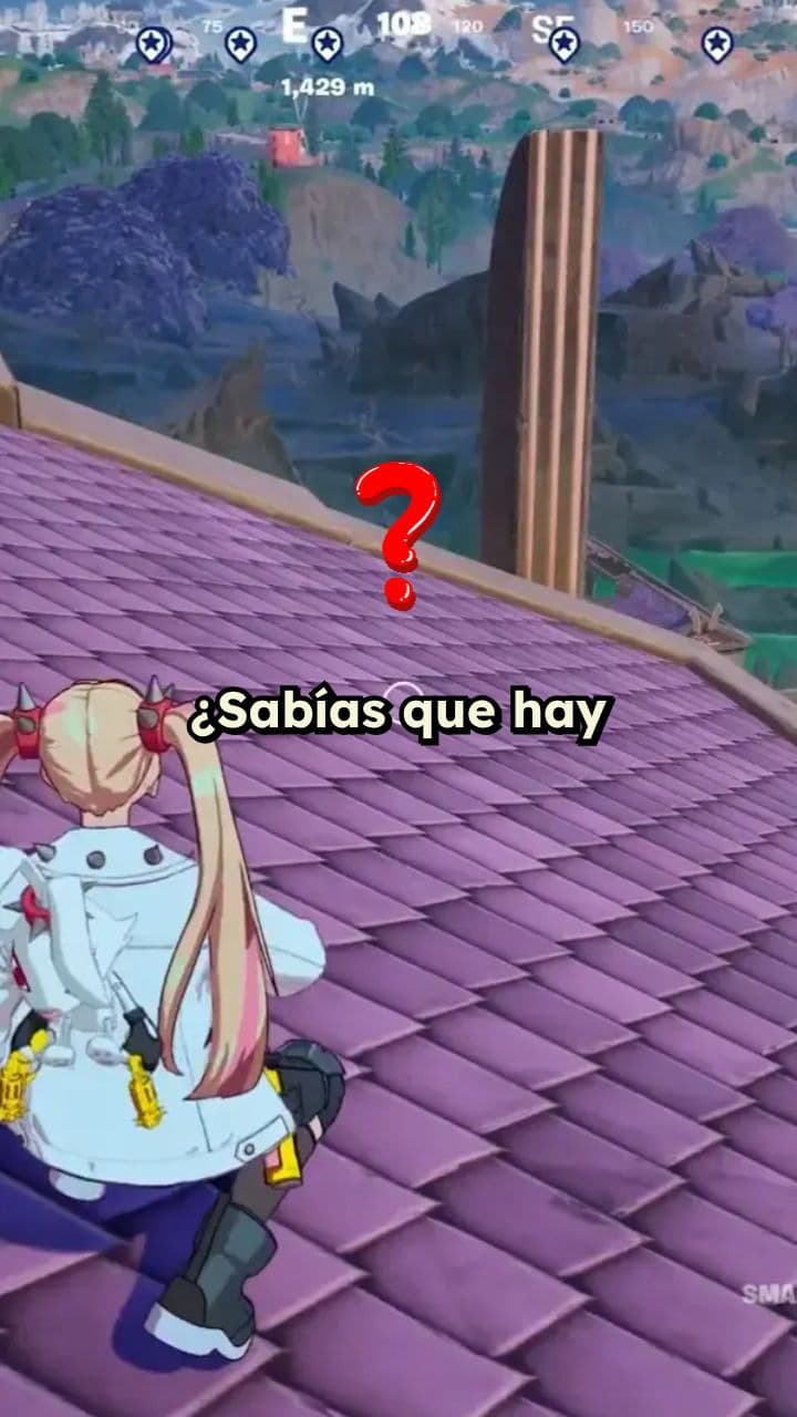 La conexión especial de los gemelos