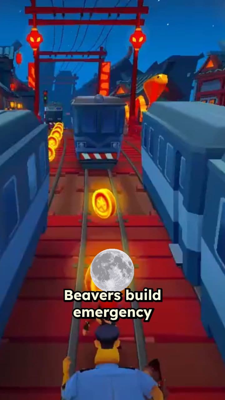 Emergency Exit Strategies for Your Home