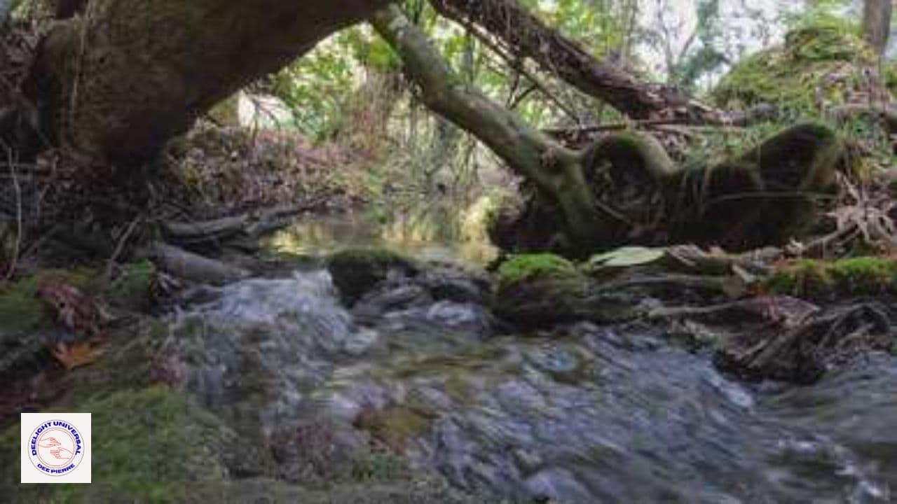 Blessings for Chris on His Birthday