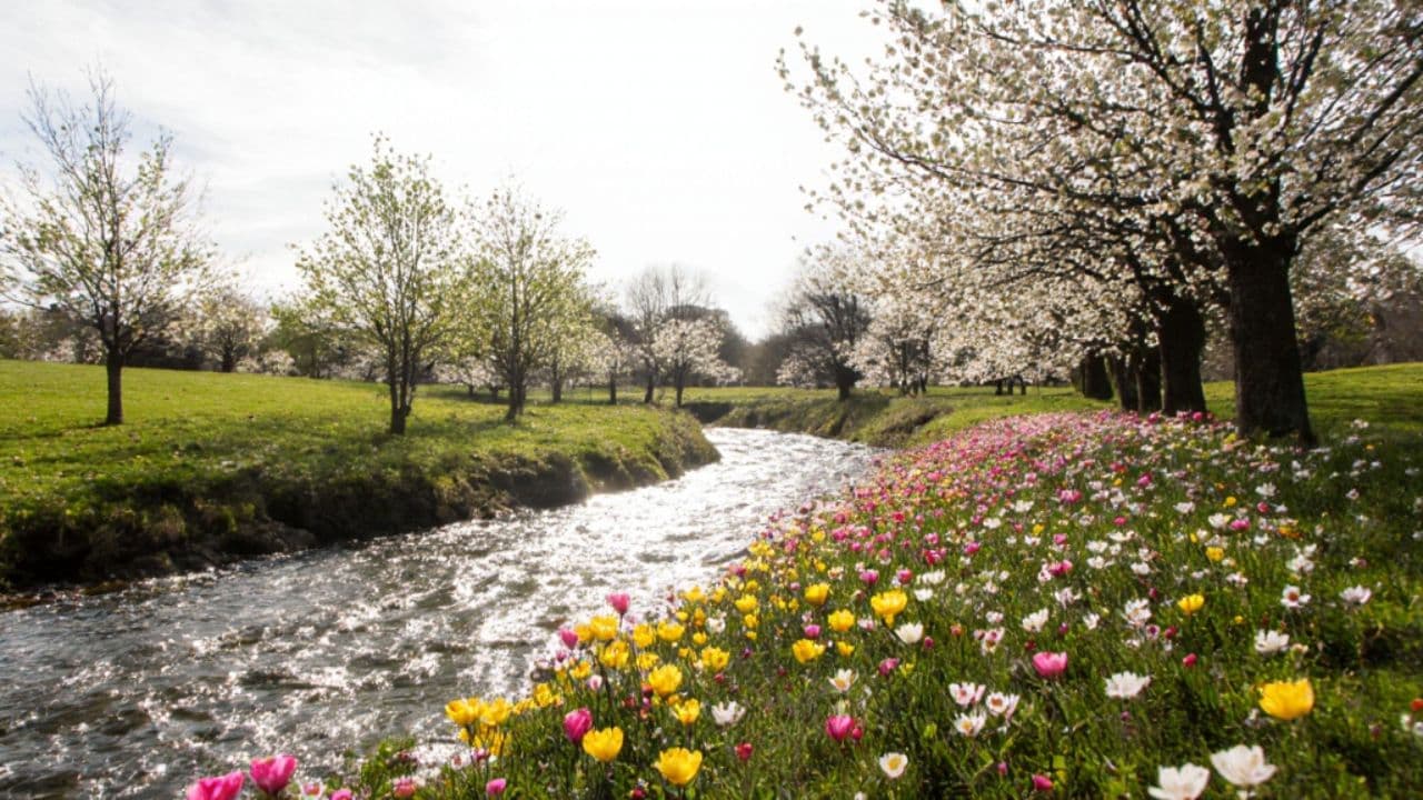 Four Seasons Scenic Transition