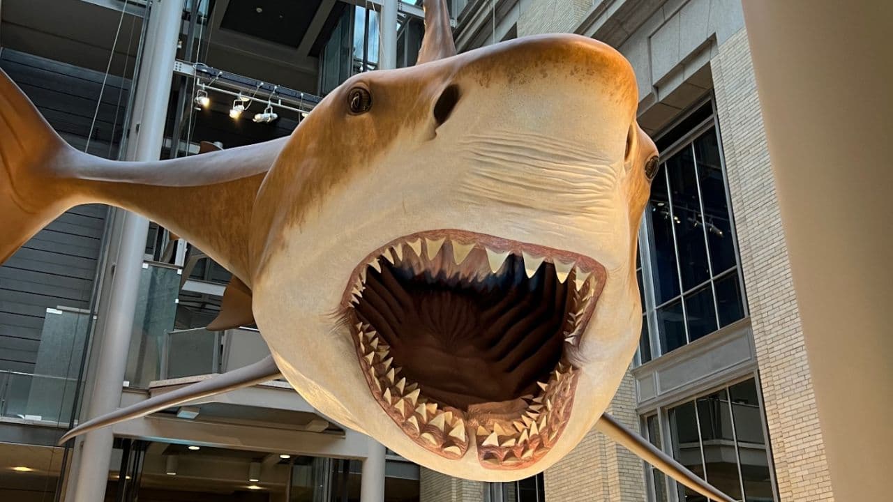 Ensuring Accuracy in Work Task Management