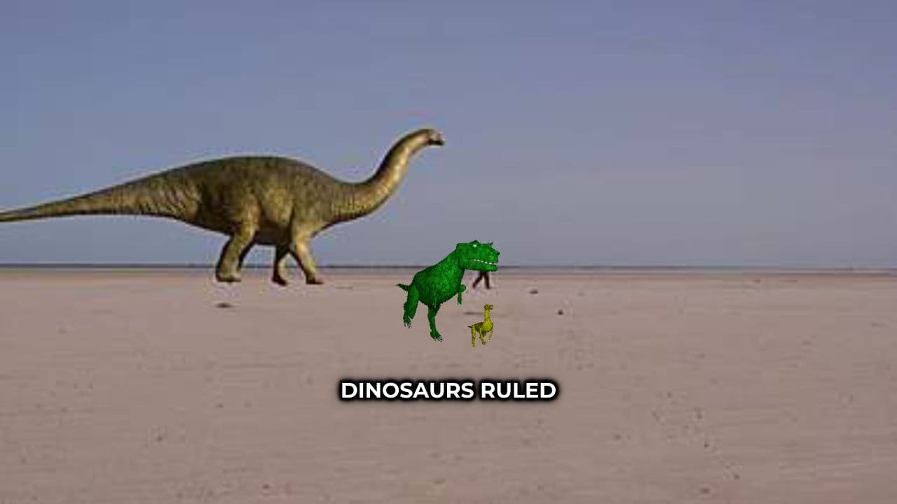 How Dinosaurs Rose and Fell