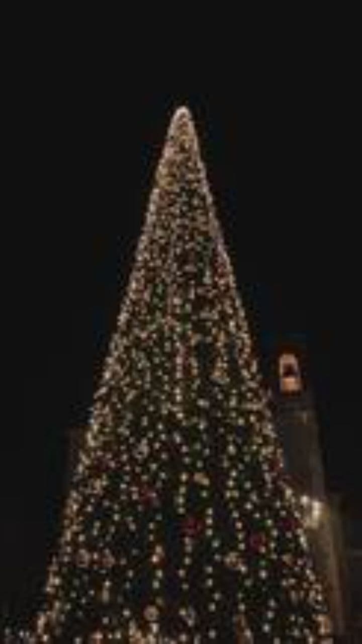 Сияние новогодней елки