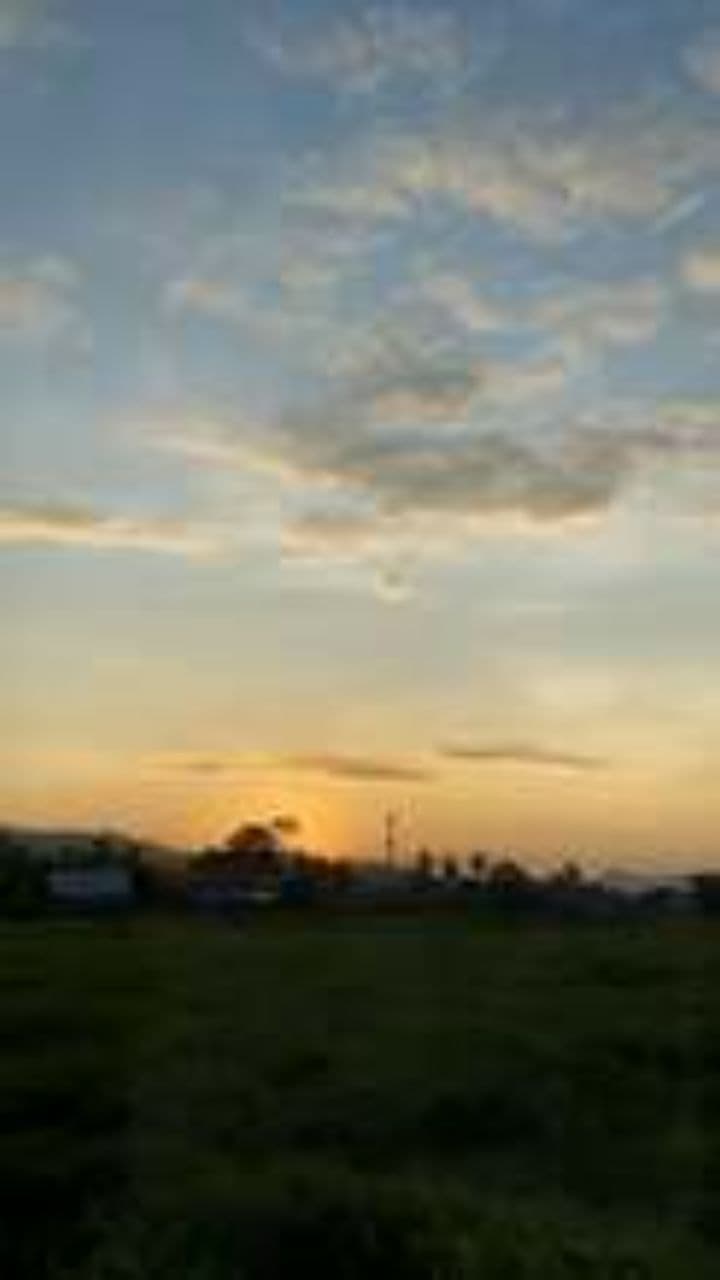 Embrace Today for a Better Tomorrow