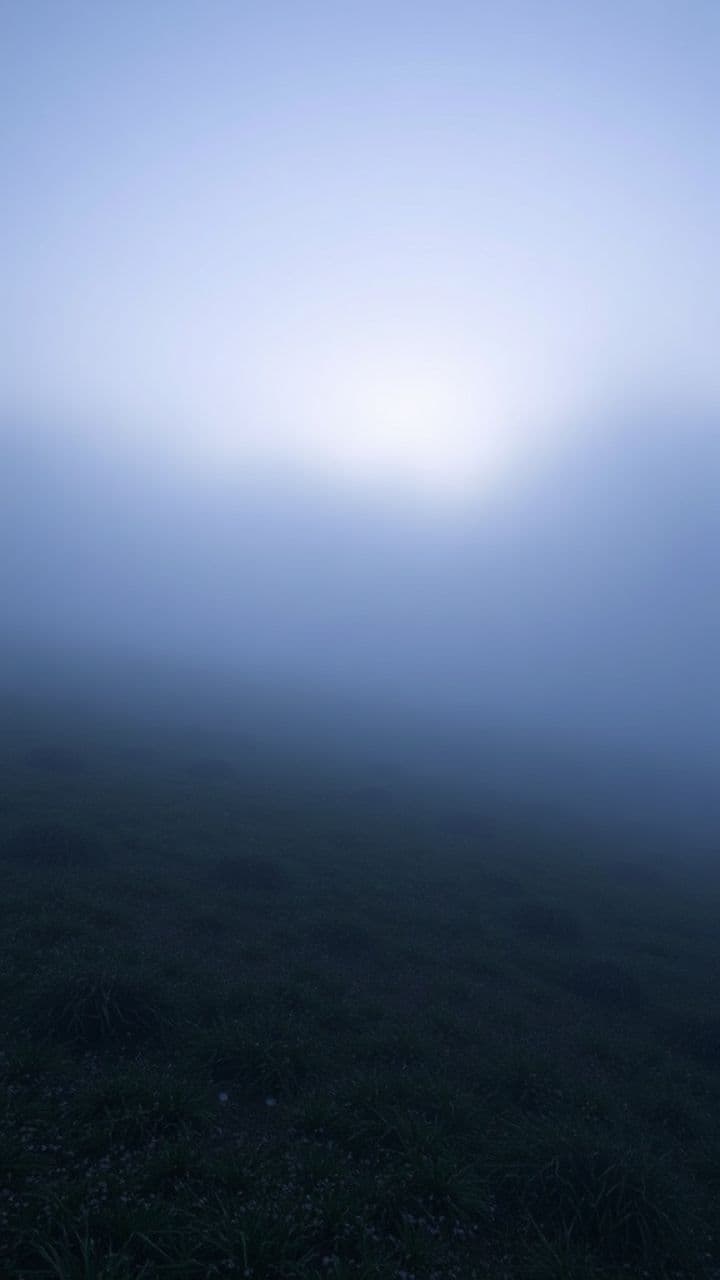 My Shepherd, My Savior