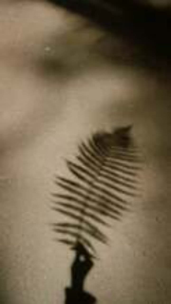 My Shadow, Take Me Home