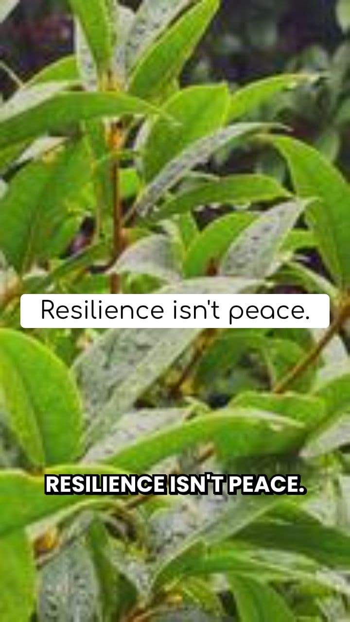 Resilience in Rain