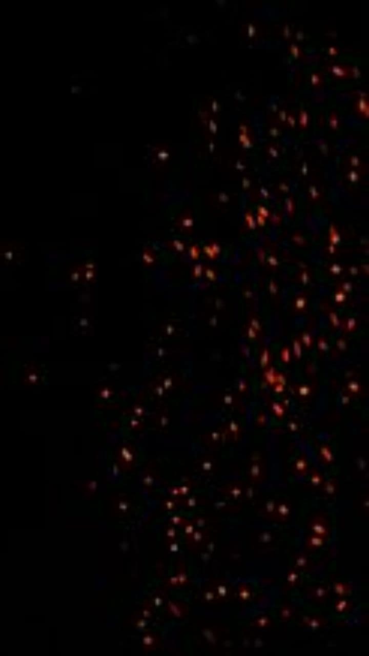 Deus e a Transformação do Coração