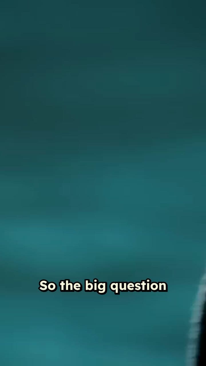 Why Tom Ford Cast Adele: "He Needed a Non-Verbal Intensity"