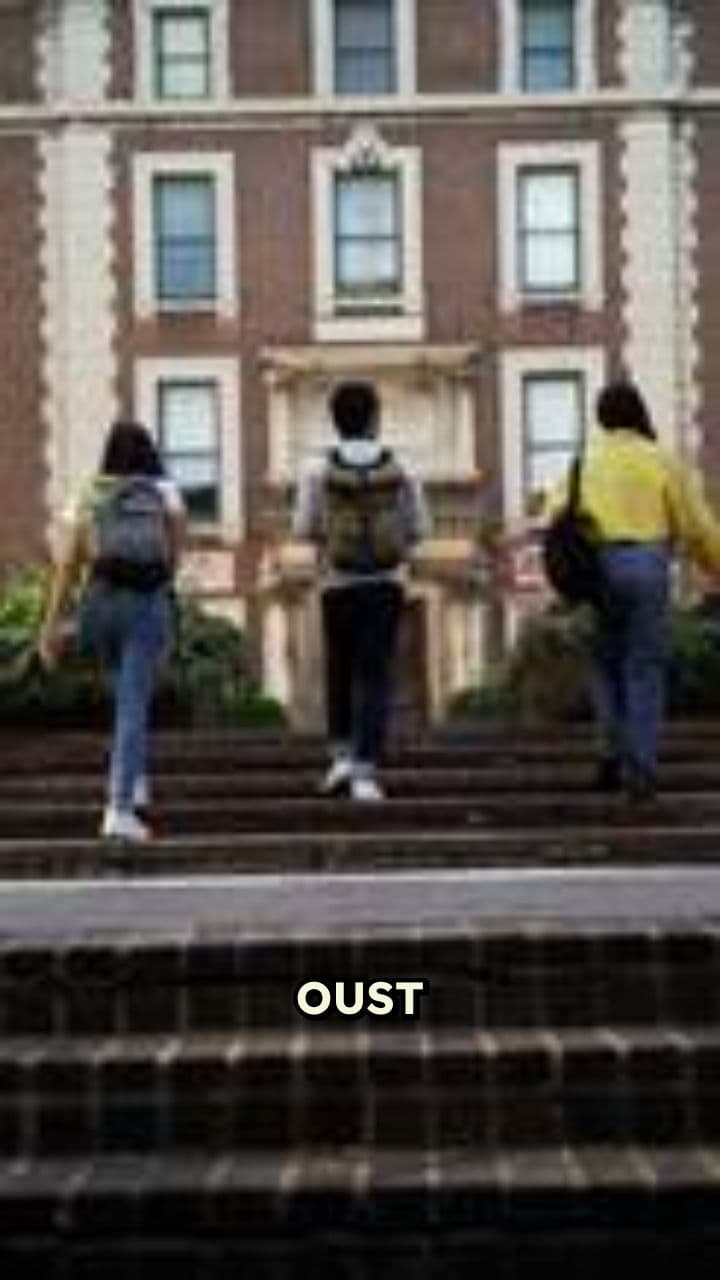 إدارة النظم وأهم وظائفها