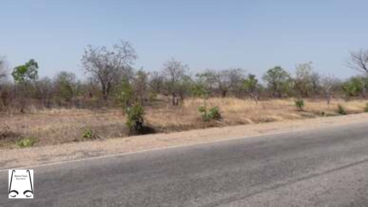 Fleeting Moments of a Forgotten Life