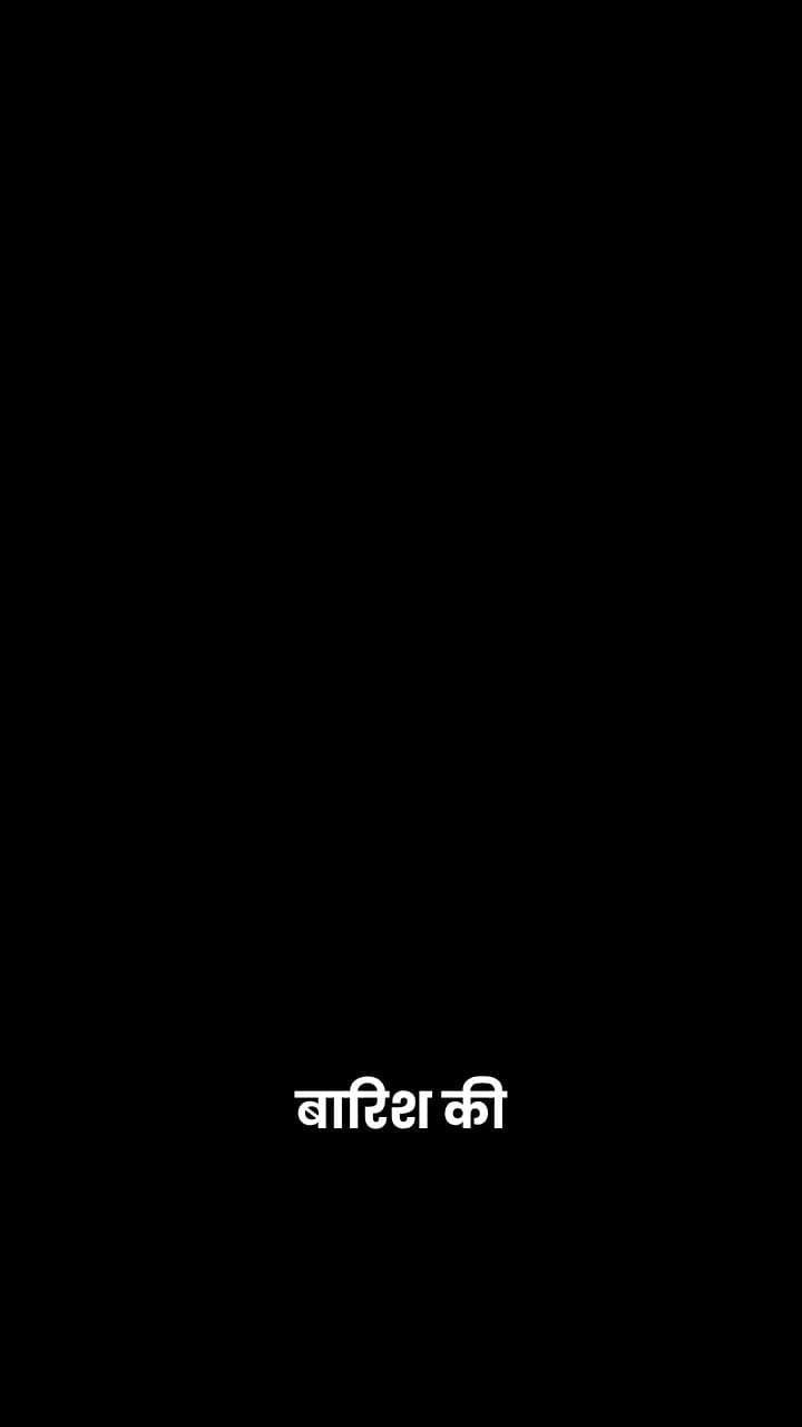 नारंगी बिल्ली का निस्वार्थ प्यार