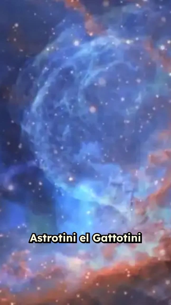 Astrotini: The Moon Cat Adventure