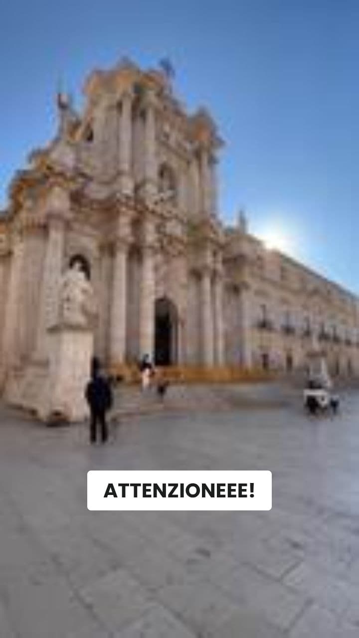 Squalofrutto: Il Caos Fruttato