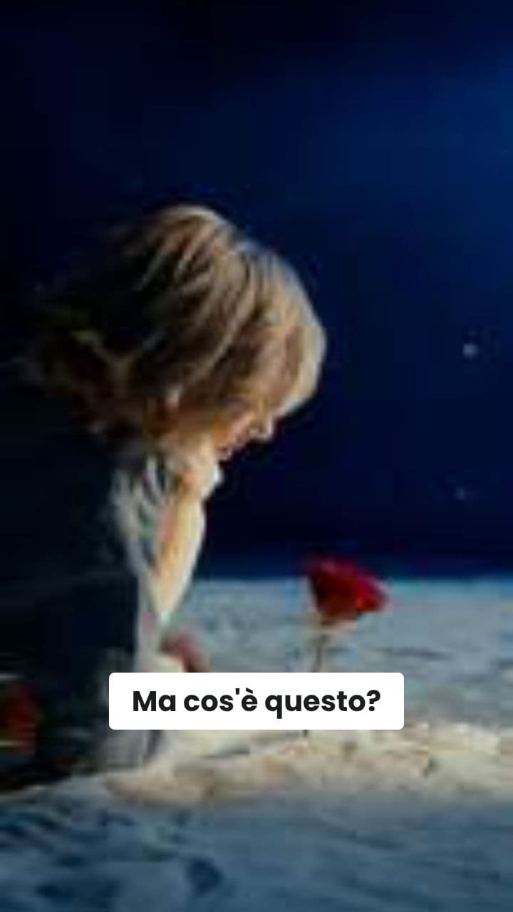 Il Nove Folle di BiscottoNove