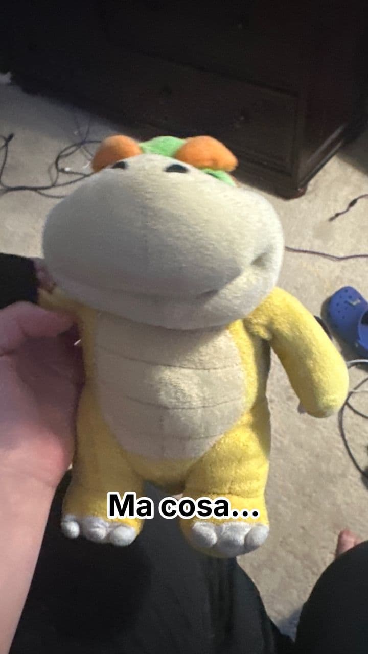 Bowserino Pompelmo: Il Caos Italiano