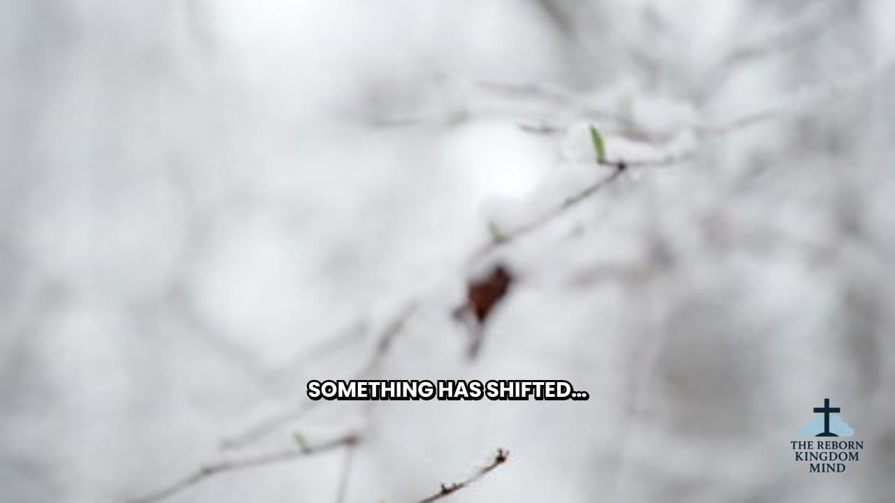 Candace Owens: Shift or Compromise?