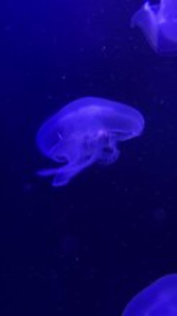 Still Breathing Through the Pain