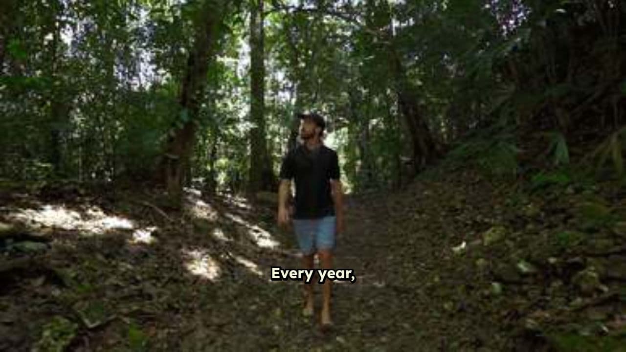 Journey of Devotion to Sabarimala