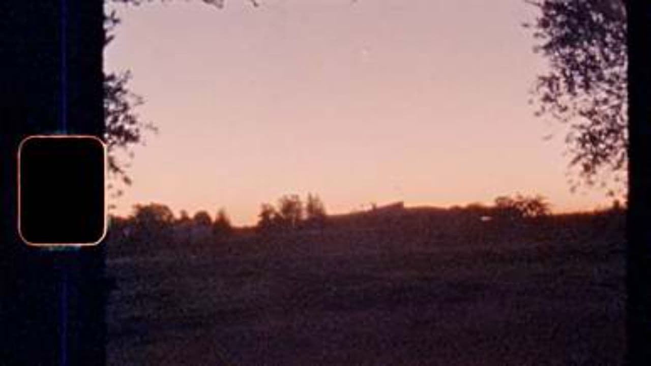 Za wolność i tęsknotę