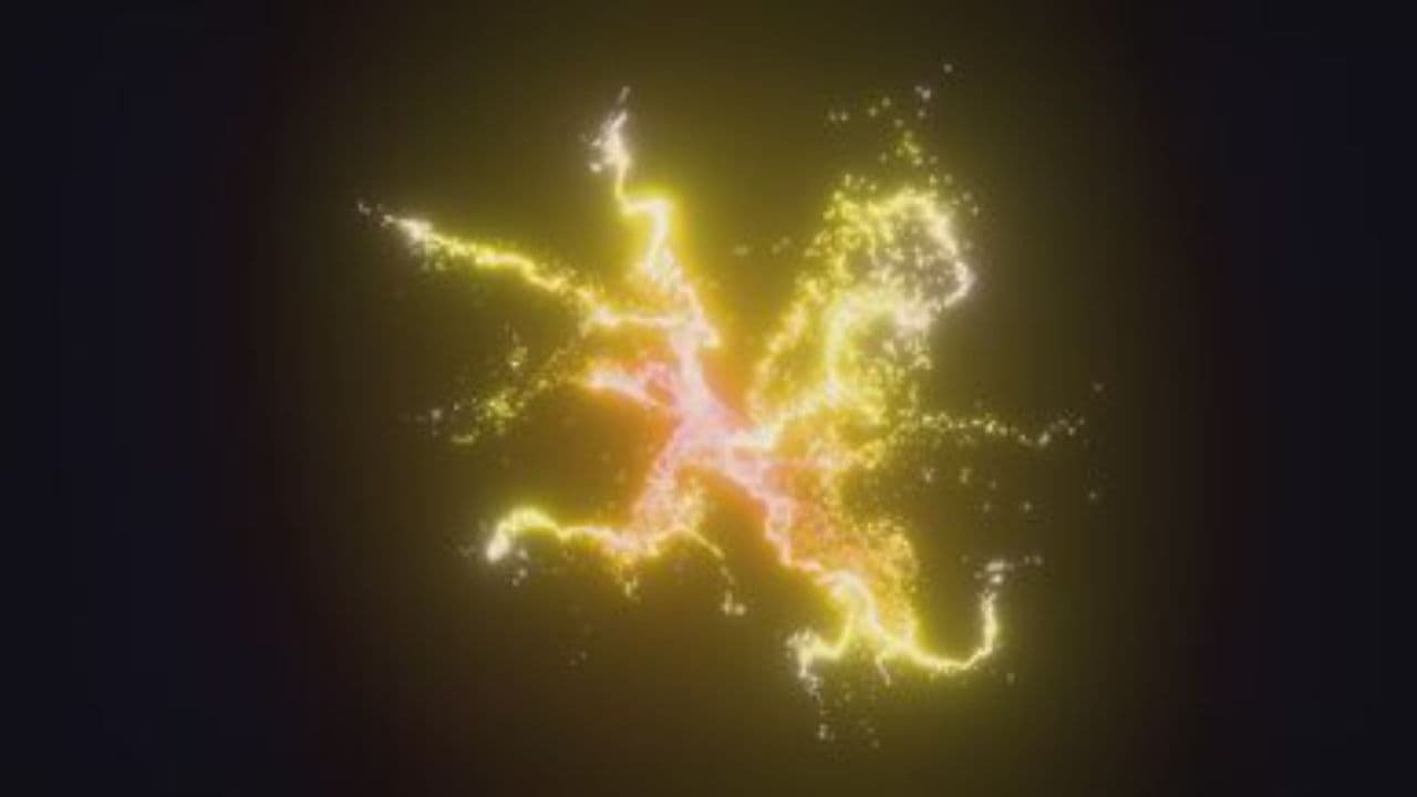 Are You Citizen or Not?