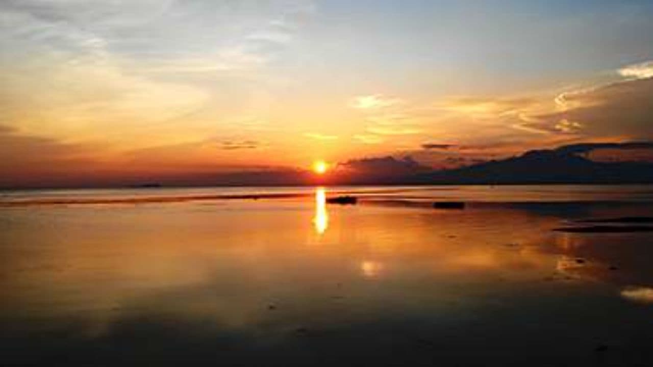 Experienced Virtual Specialist Seeking Long-Term Role