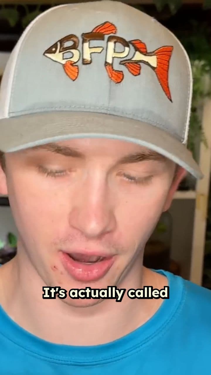 Holding a Man-Eating Crab