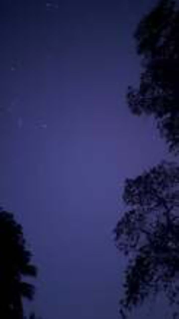 Echoes of the Starry Night