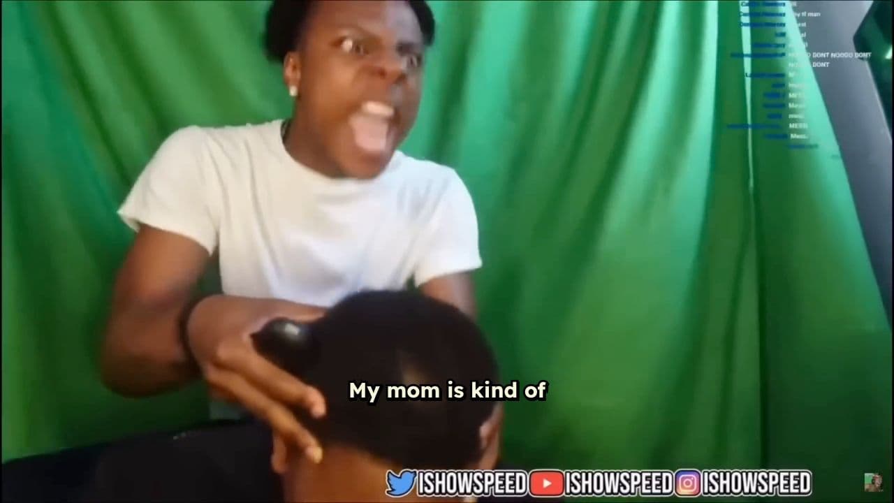 The Stream Highlights